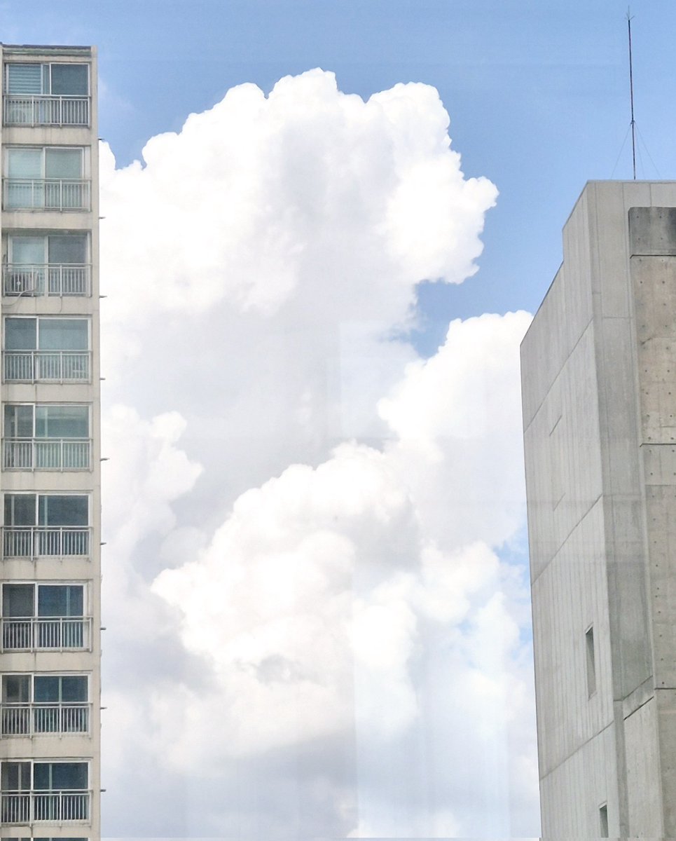 구름이 예뻐서 하늘을 계속 봤던 날 ☁️
