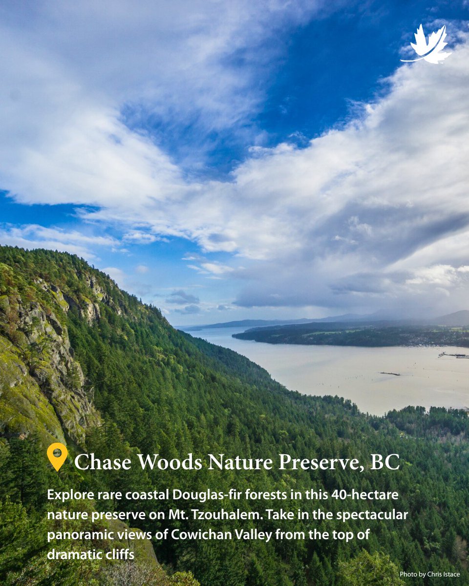 NCC_CNC's tweet image. Happy Canada Day! 🍁 What better way to celebrate than getting inspired by nature? From coastal cliffs to quiet wetlands, Canada is full of wild places worth exploring.

Discover 4 beautiful destinations to add to your summer plans. 🌿

#CanadaDay #ExploreCanada