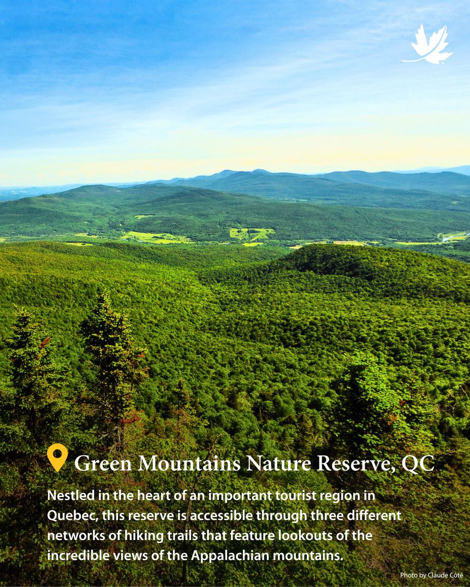 NCC_CNC's tweet image. Happy Canada Day! 🍁 What better way to celebrate than getting inspired by nature? From coastal cliffs to quiet wetlands, Canada is full of wild places worth exploring.

Discover 4 beautiful destinations to add to your summer plans. 🌿

#CanadaDay #ExploreCanada