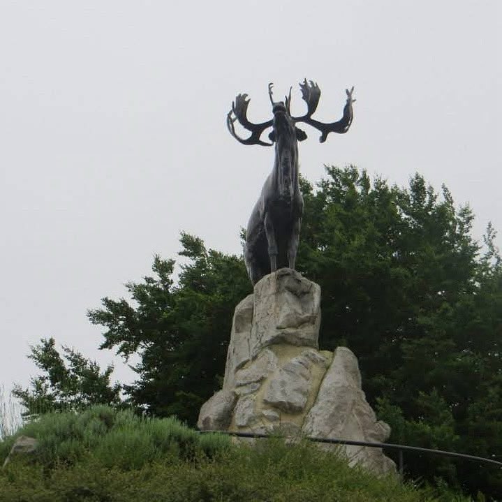 July 1st is a day of pride and reflection for all of us in Newfoundland and Labrador. As we celebrate Canada Day, we also pause to honour the brave members of the Newfoundland Regiment who served at Beaumont Hamel. Their courage and sacrifice will never be forgotten. 🇨🇦