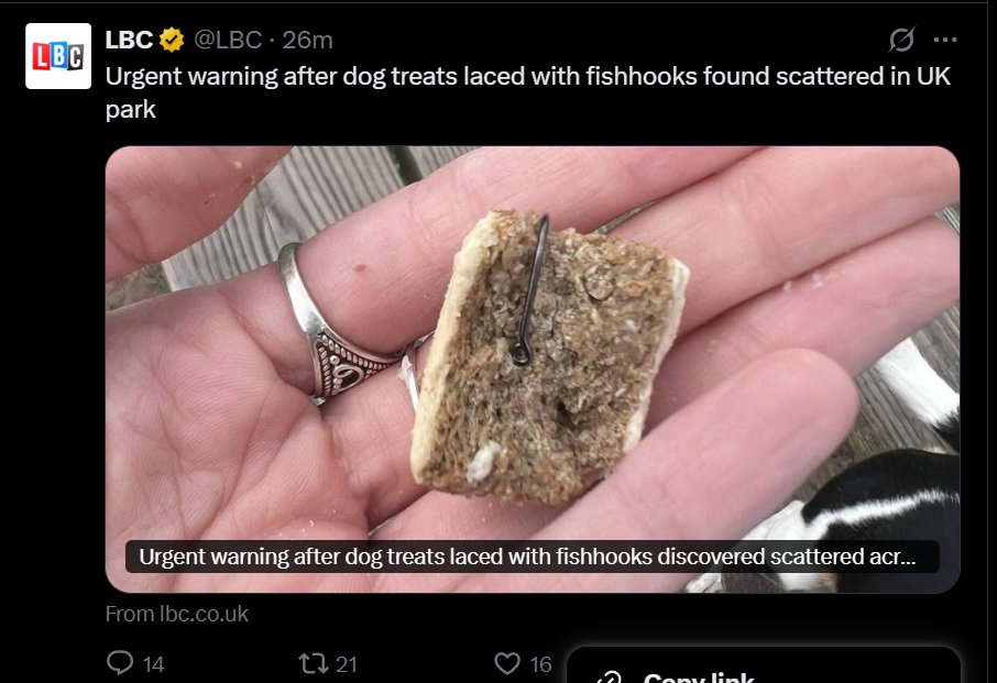 What kind of sick thought process could lead somebody to do this?