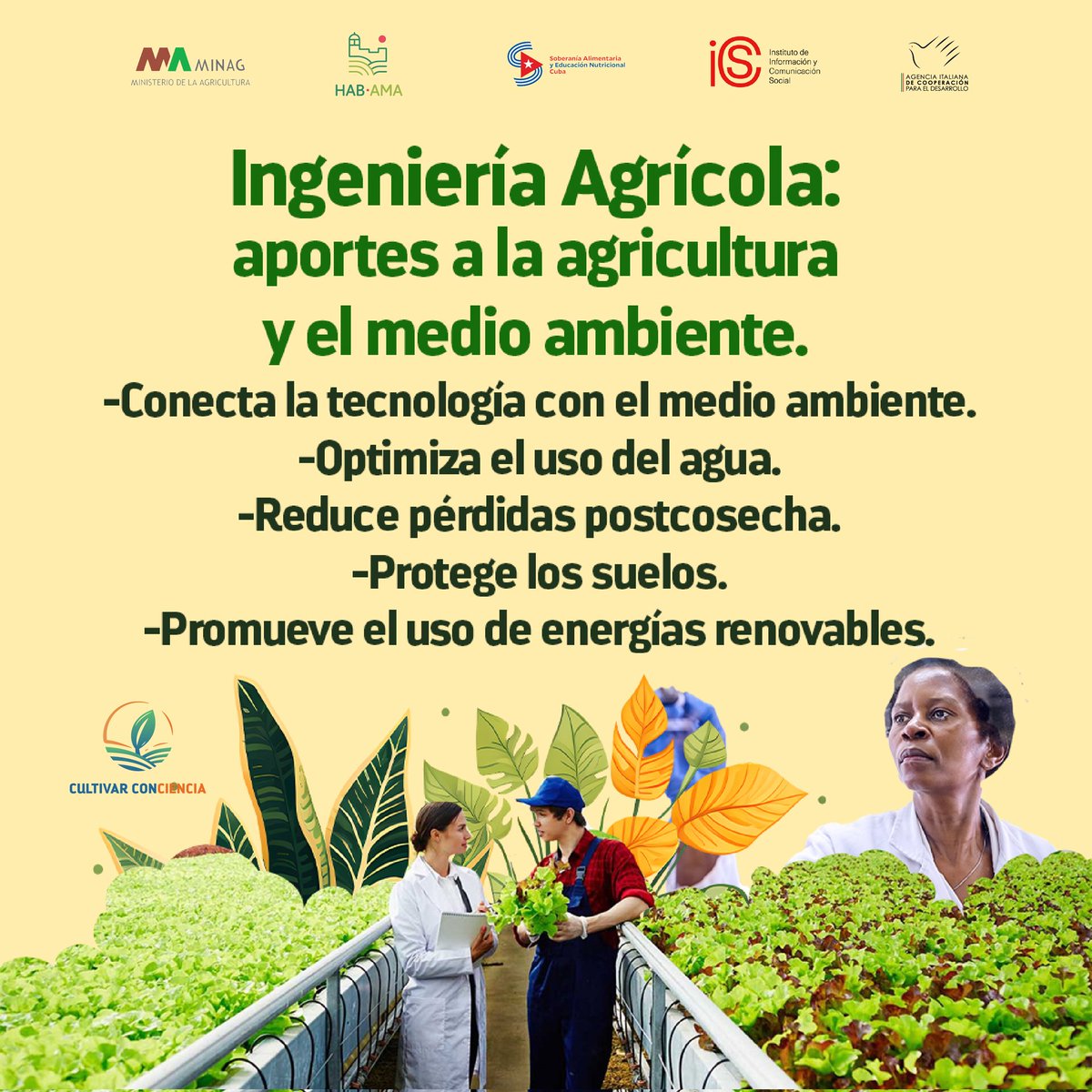 La ingeniería agrícola es clave para construir una agricultura sostenible y un medio ambiente saludable.
🔸Su enfoque integra conocimientos científicos y técnicos que promueven sistemas más eficientes, resilientes al cambio climático y respetuosos con la biodiversidad. 🌱⚙️🚜📲