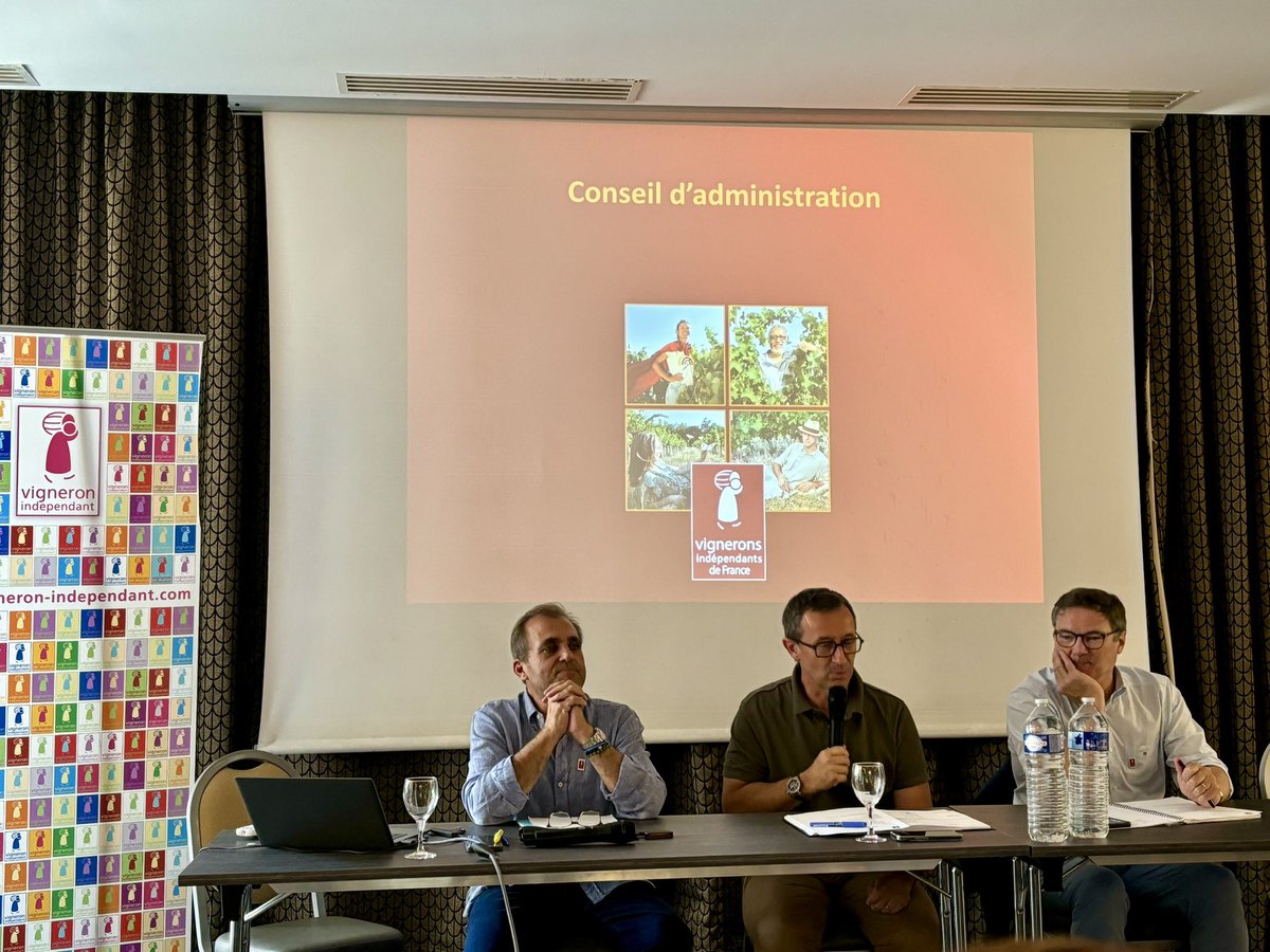 CorinneLaurent's tweet image. Conseil d’administration décentralisé à Reims ; merci pour ton accueil @PiotSevillano ! #vigneronsindependants @vigneronindep