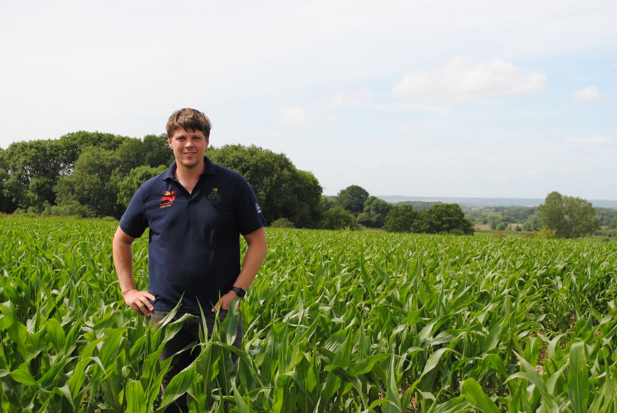 AHDB_Cereals's tweet image. We’re excited to announce that Will Oliver of Osbaston House Farm, Leics, is the new host of Strategic Cereal Farm Midlands.
Will joins our network of Strategic Cereal Farms, the programme puts cutting-edge research into practice on farm.
Read more 👉 ow.ly/wC1J50WiVMt