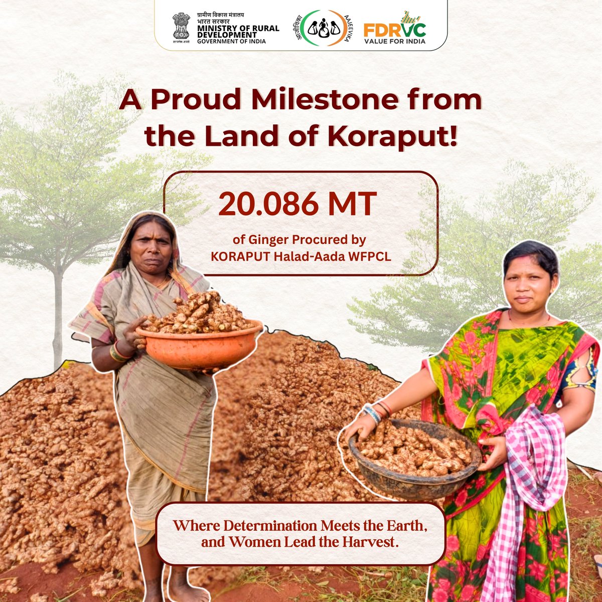 A new milestone from the heart of Odisha!

20.086 MT of fresh organic ginger procured by the incredible women of Koraput Halad-Aada Women FPC, Semiliguda.

This is not just farming — it’s women-led agribusiness powered by passion, unity, and purpose. 
#fdrvc #mord #nrlm