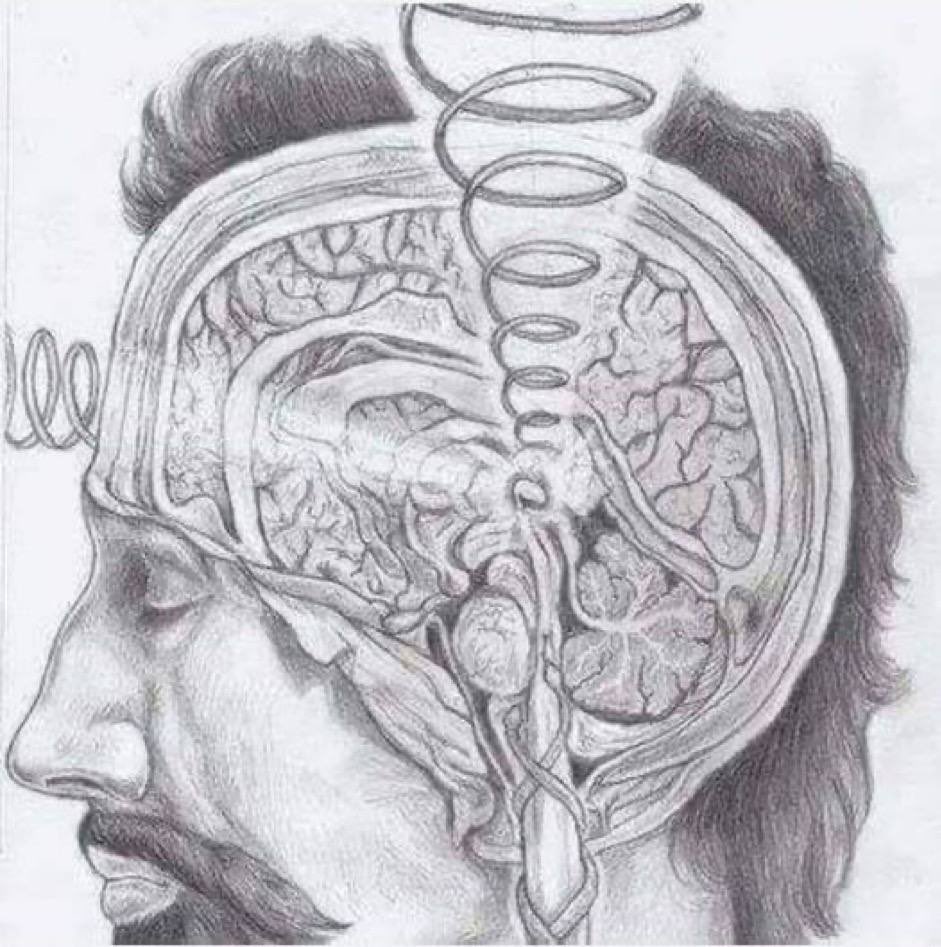 Pineal Gland is your antenna to infinity
