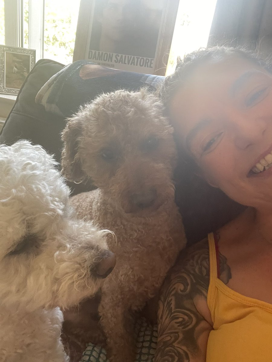 Hi guys! Fanx youz for your birfday messages, please forgive hoomum, she still isn’t too well, here’s a photo of us from my birfday (I’m obviously the the white baby Bear🐾❤️🐾❤️