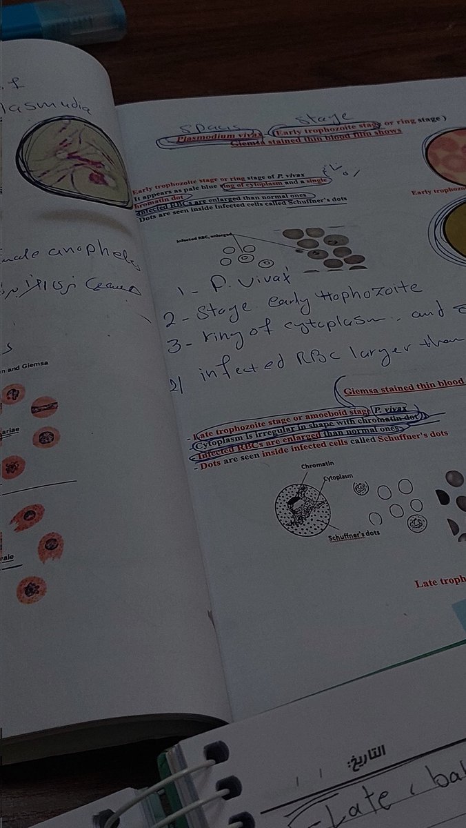 امتحان المعمل ابشع شي .