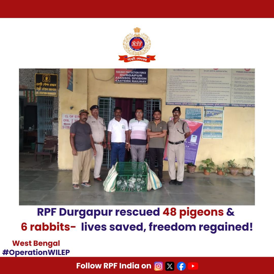 Acting on a #RailMadad complaint, #RPF Durgapur rescued 48 pigeons &amp; 6 rabbits from unclaimed bags in the GS coach of #BlackDiamondExpress.

These innocent lives were handed over safely to #Durgapur Forest Department to soar and hop freely again!

#OperationWilep #WildlifeRescue