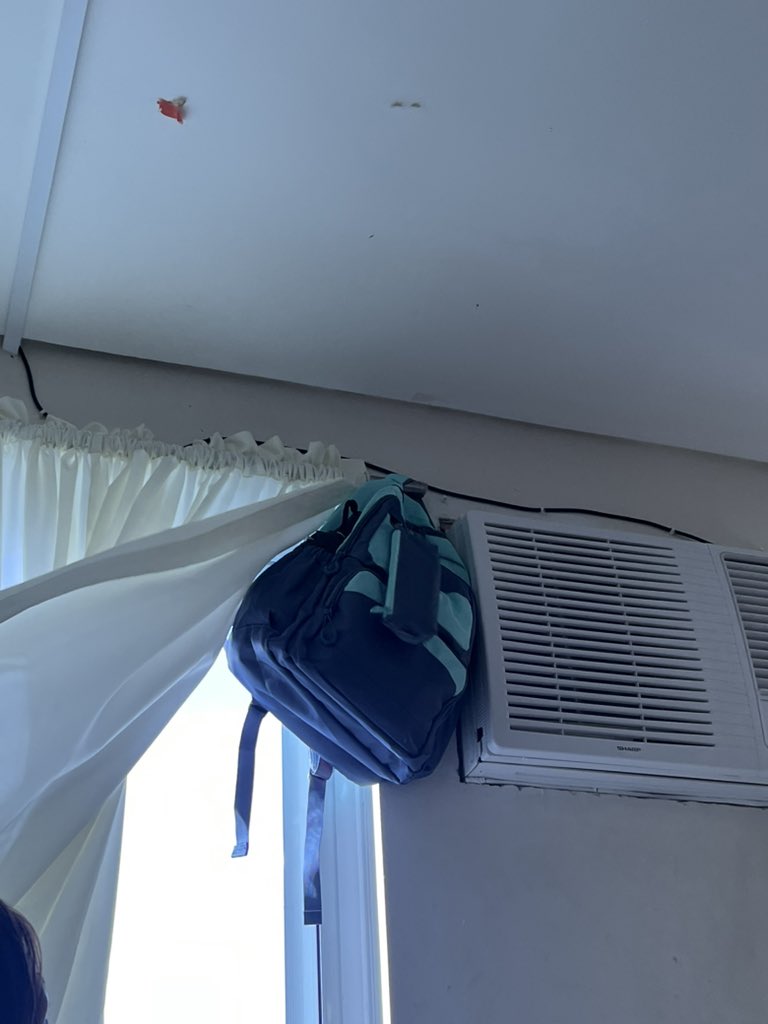 Xystudy_'s tweet image. School dump😭😭😭😭😭