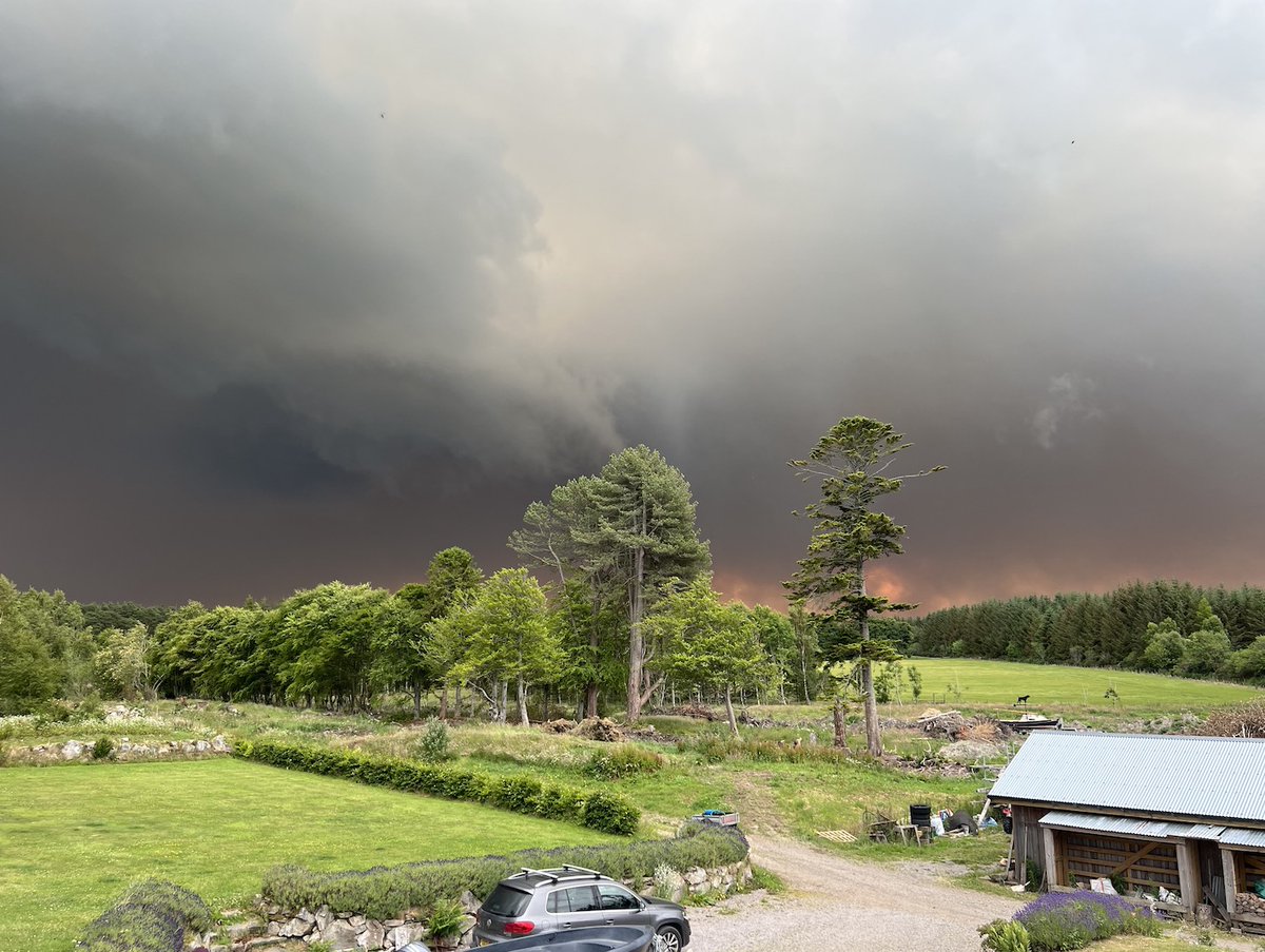 Value of stalkers, gamekeepers, estate staff and other volunteers must be recognised publicly and in Scottish Parliament as their support for SFRS to tackle wildfires continues says ADMG Chair deer-management.co.uk/category/news-…