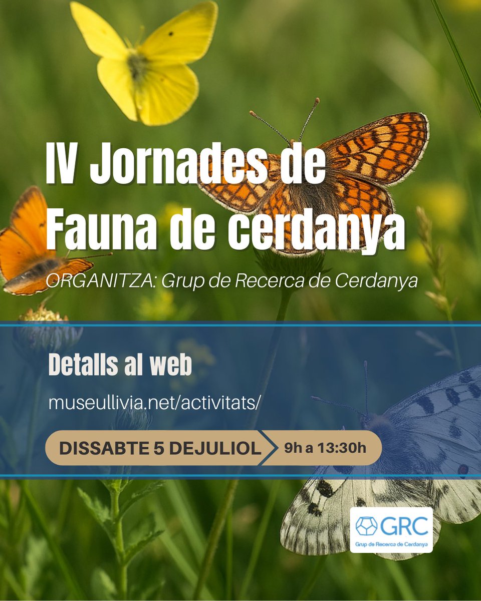 museudellivia's tweet photo. 🦋 T’interessa la fauna de la Cerdanya?

Dissabte 5/7, IV Jornada de Fauna a Llívia: papallones, ocells esteparis, serps, quiròpters, mesocarnívors i més. Amb debat final!

🕘 9–13:30 h
📍 Sala de Plens, Aj. de Llívia
🎟 Gratuït, sense inscripció
▶️ També a YouTube
#museullivia https://t.co/9mV51I0kGm