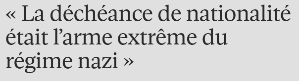 Regelegorila tweet media