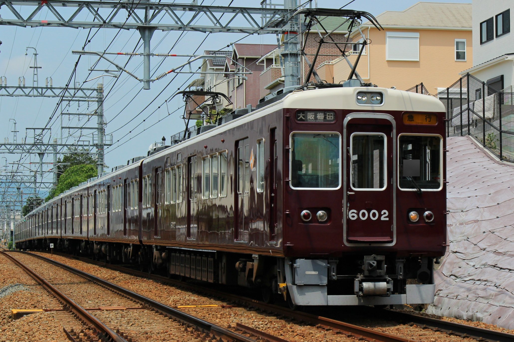 71riEgl9Z1L._UF350,350_QL80_.jpg