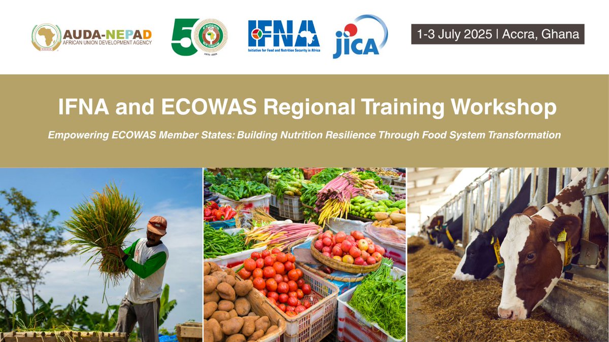 Kefilwe Rhoba MOALOSI (@fifiesto) on Twitter photo 