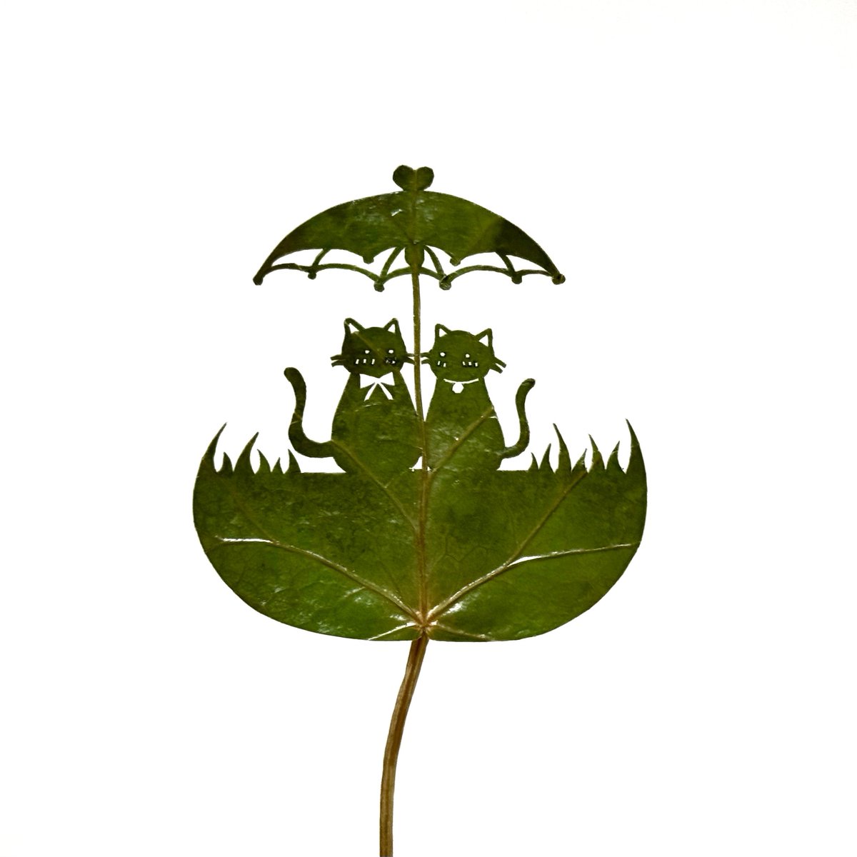 lito_leafart's tweet image. フリーアイコン用の作品を作りました。
XやLINEなどのプロフィール画像に使いたい方がいたらご自由にどうぞ🍃
背景などいじっていただいても結構です。
#フリーアイコン