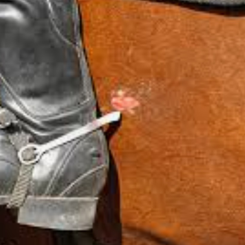 Julia Settembrino tweet media