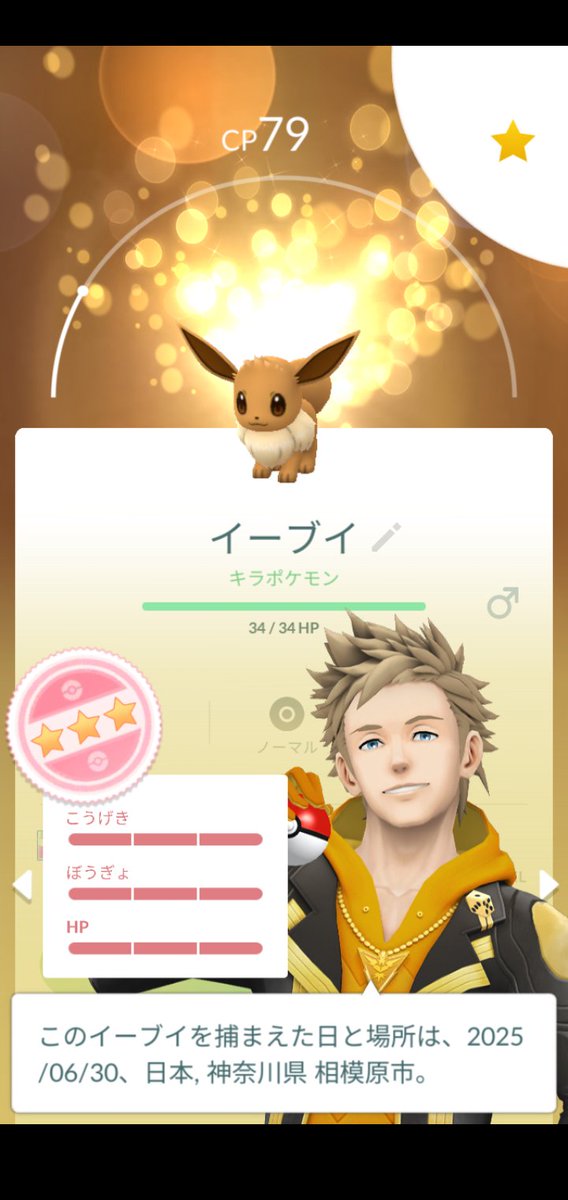 ayahom3's tweet photo. 久しぶりにキラポケモンで100%きました^^　
イーブイ100%は初めてですがどれに進化させるか迷います・・・ https://t.co/sPH4nFMiPO