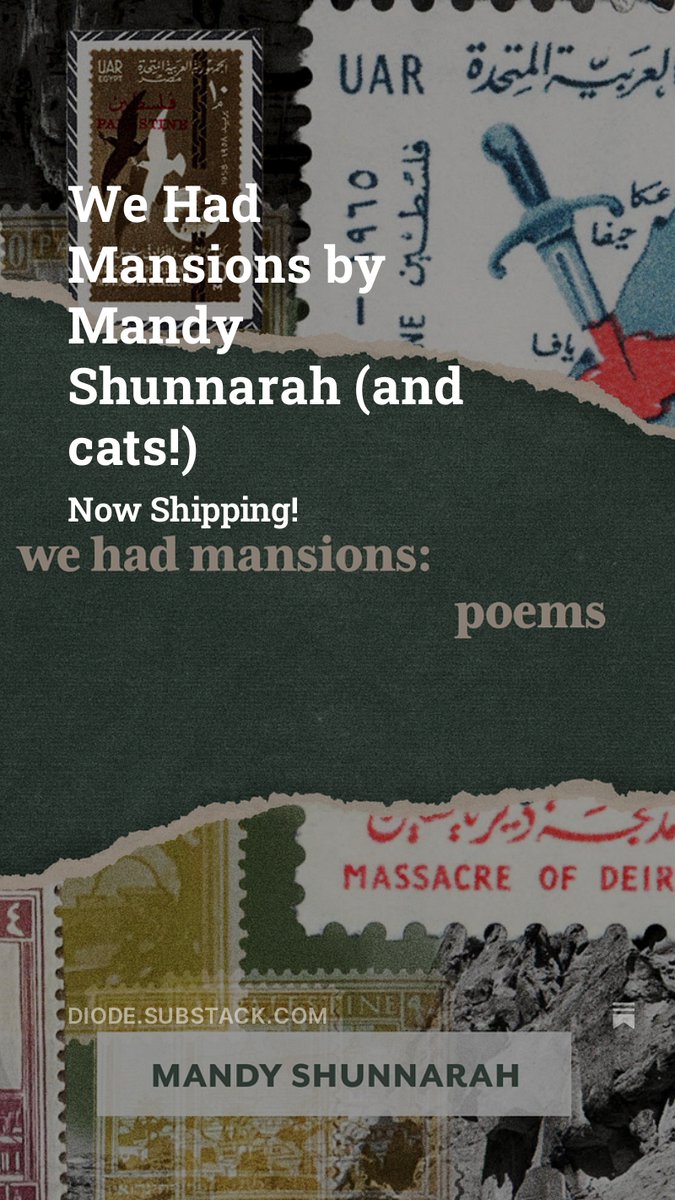 DiodeEditions's tweet image. We Had Mansions by Mandy Shunnarah (and cats!) open.substack.com/pub/diode/p/we…