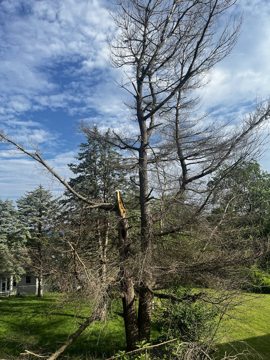 Happy July!! 
Tree guys are here to take it down, so we’re postponing today’s podcast to tomorrow. Same Bat-time. Same Bat-station. 
Luvumeanit!