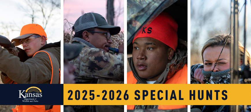 Special Hunt applications are OPEN! 🦌

More than 350 opportunities across Kansas — but you must apply by July 29.

Start here 👉 ksoutdoors.com/Hunting/Specia…