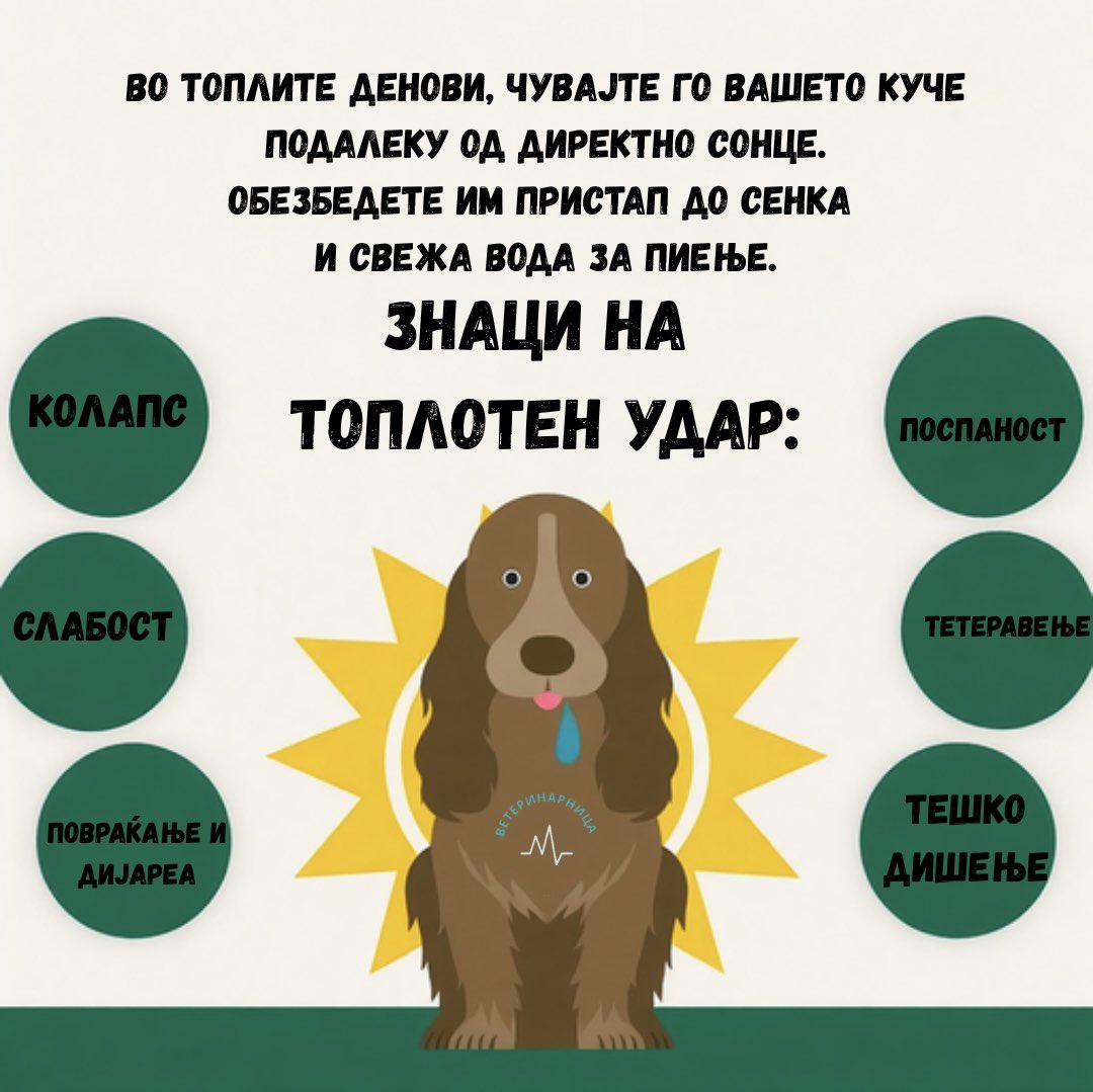 Не ги шетајте кучињата у сред ден на најтоплото! Умираат од топлотен удар!
➡️ instagram.com/p/DLkB4rkoAnm/…