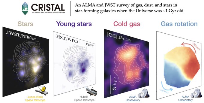 A family portrait of galaxies from the CRISTAL survey. The image shows the gas traced by ALMA’s [CII] observations. Blue and green represent starlight captured by the Hubble and James Webb Space Telescopes. Credit: ALMA (ESO/NAOJ/NRAO) / HST / JWST / R. Herrera-Camus