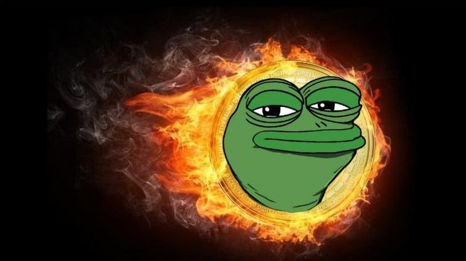 RyogenBog's tweet photo. 🔥 Weekly Burn #6/8🔥
🔥8.3T $BOG incinerated!🔥
🔥20.14% of total supply = GONE forever🔥

Check details here: https://t.co/4NlDqWt9Zc

Each week, the fire grows🔥
Each week, the throne rises🔥

$BOG the Lord of the Frogs🐸
#BOG the #BTC of #Memes https://t.co/cUzPo5jIx6