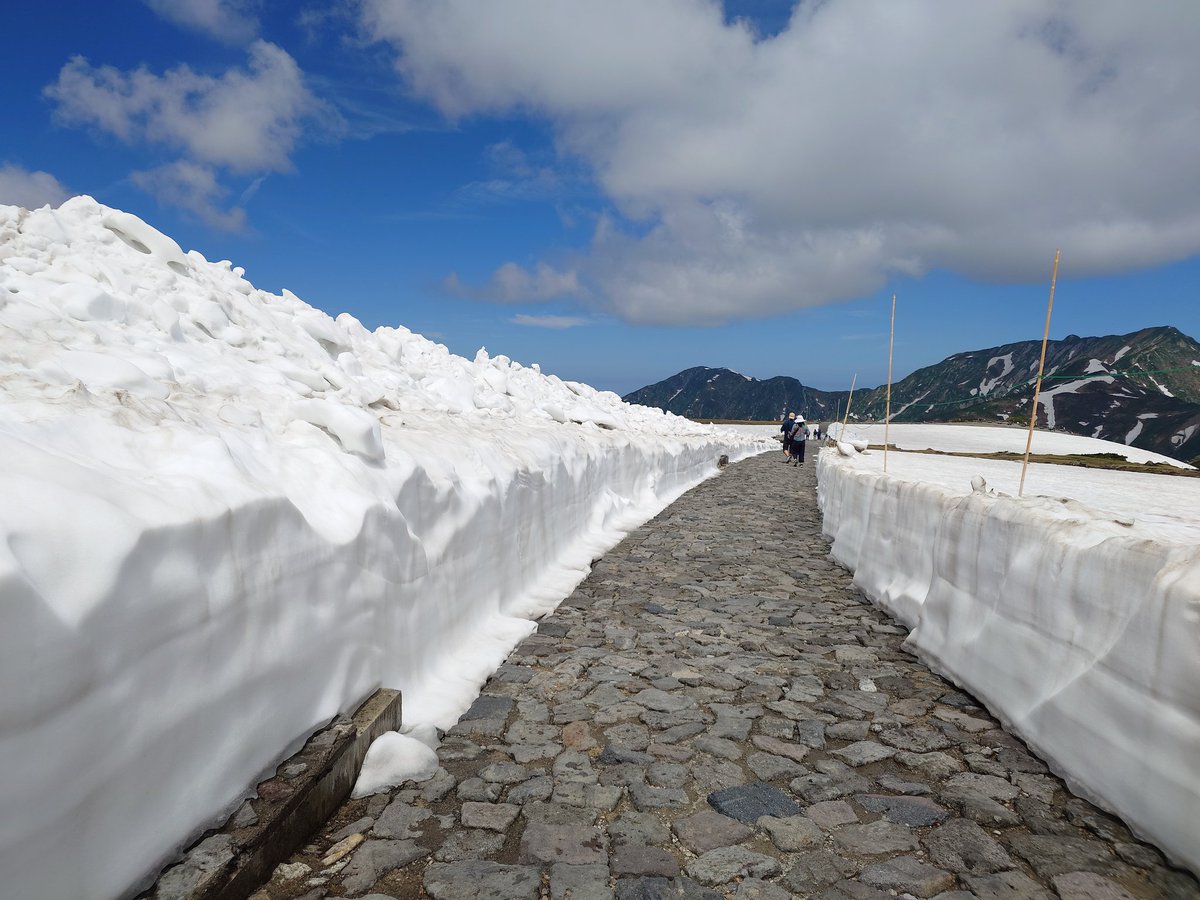 みんな！雪だよ！！
舐めた格好で雪歩いてきたよ！！