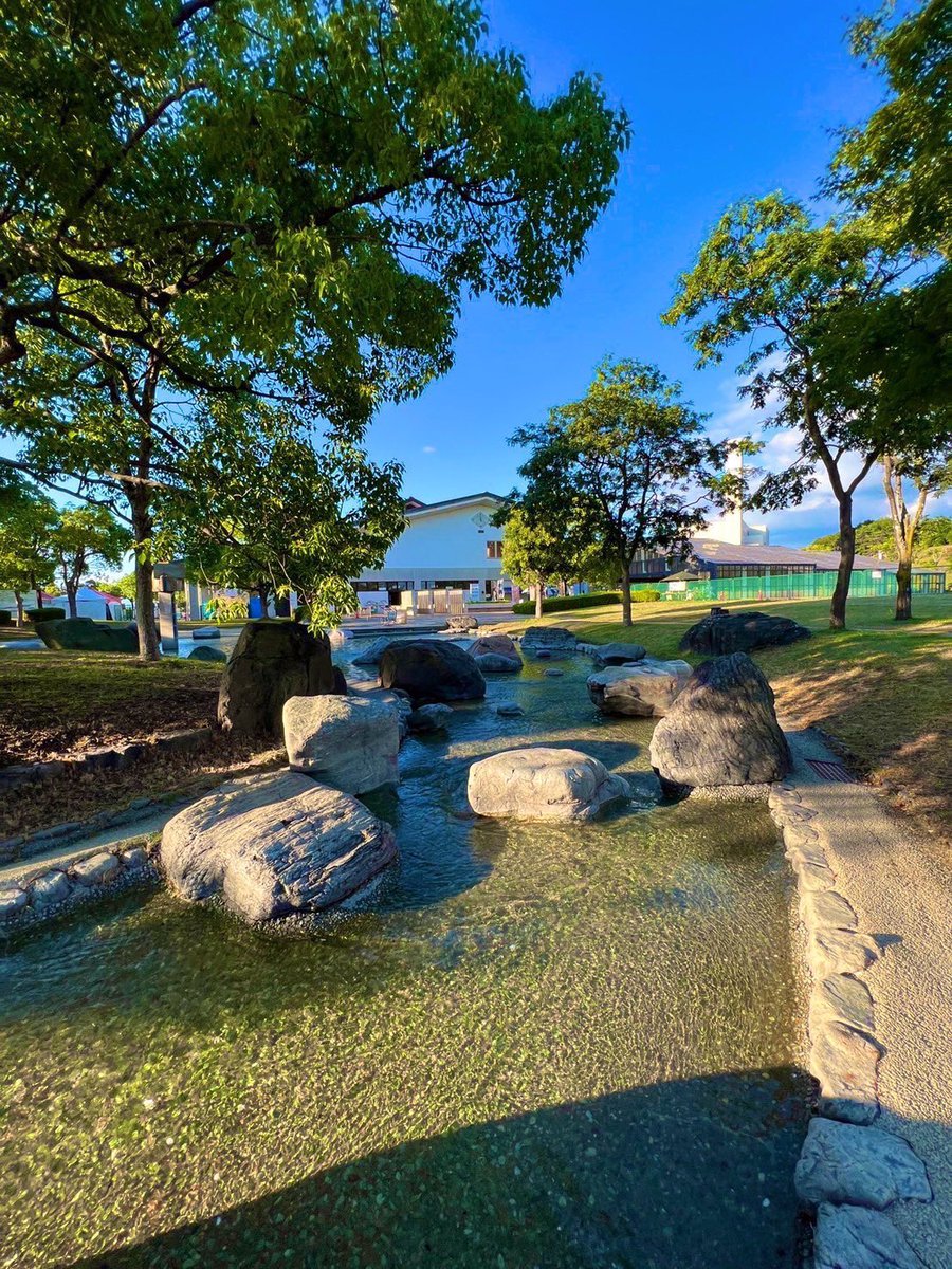 週末、お仕事ご苦労さまです🦆
土日祝がお休みじゃない😭
平日の民の皆さん(  ˙꒳​˙ )ﾉ
今年も平日開催もあります🦆

平日有休消化して、写り込み少ない環境で撮影したい方も大歓迎🥰
🌴🐬🍉

➡️2025年9月
10日(水)、17日(水)の2日間🦆

昼枠、夜枠、通し枠のご参加、
大歓迎です(*ﾟ∀ﾟ*)うひょー‼️