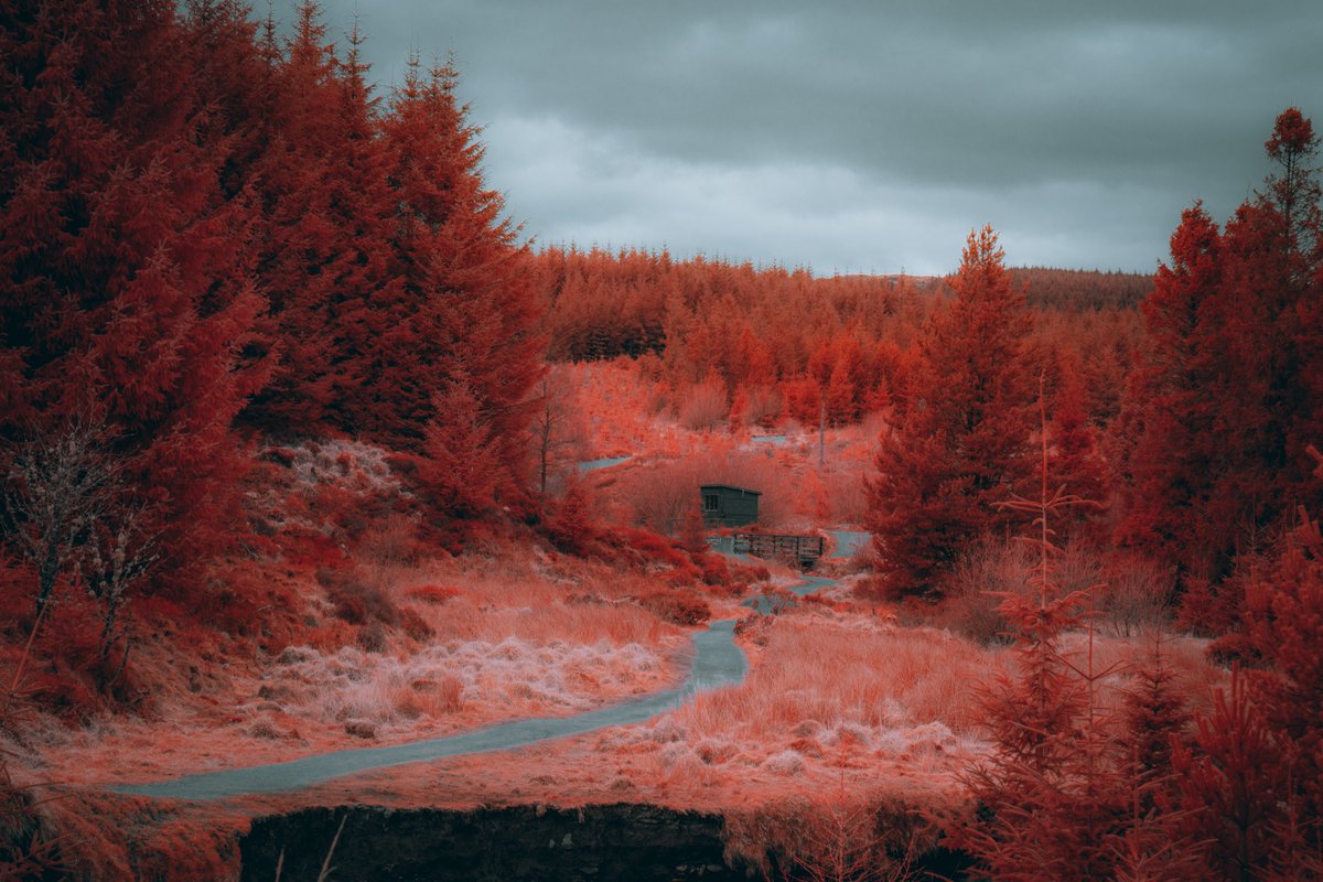 More IR Goodness