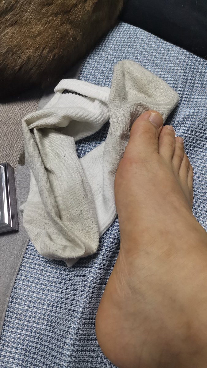 翘臀收集者 收长期圈养狗 tweet media