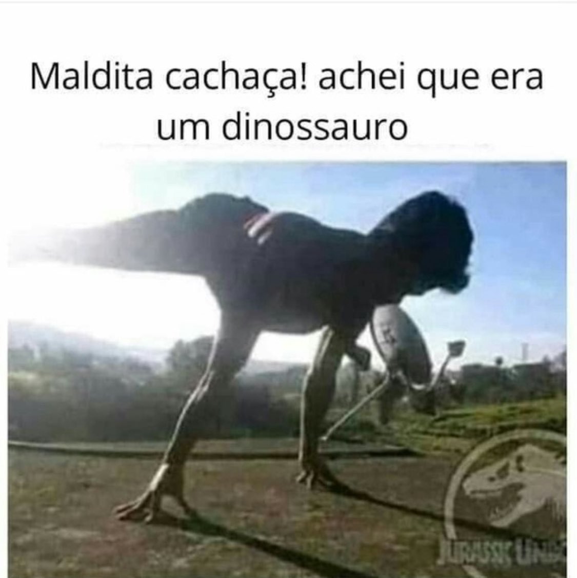 #memes casco uma par #Bomdia