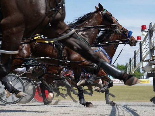 Our traditional Canada Day card at Red Shores #Summerside raceway today at 1pm. Play at the track or from home or from the deck through <a href="/HPIbet/">HPIbet</a> .