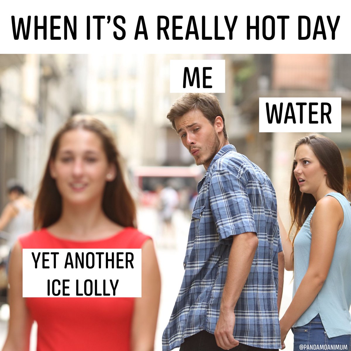 Amanda (@pandamoanimum) on Twitter photo  Amanda (@pandamoanimum) on Twitter photo