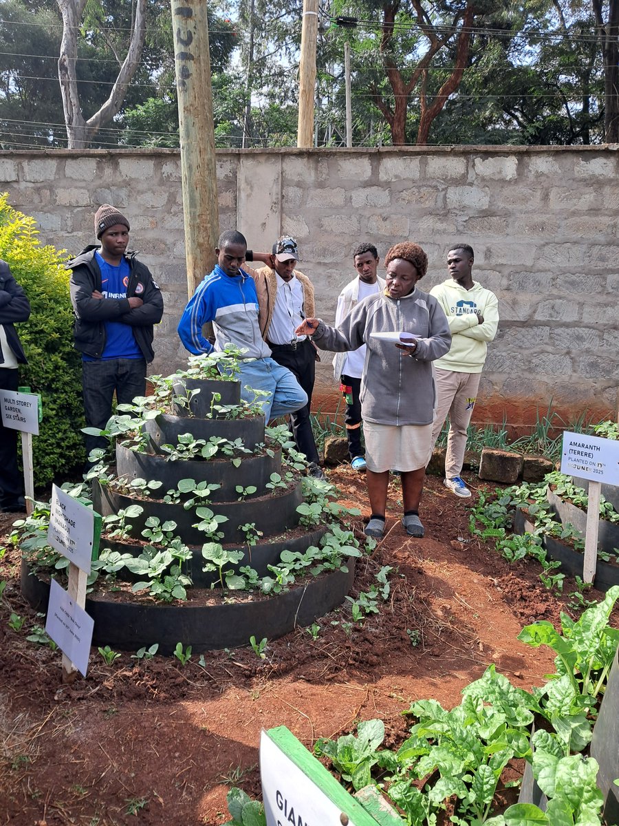 Mazingira Institute (@mazinstitute) on Twitter photo The first 2-day urban agriculture training was a success! Young people from different institutions learned about crop production and management at Waithaka VTC.
The Women's Spaces Project is supported by <a href="/CanadaDev/">Development Canada</a>
<a href="/RooftopsCanada/">Rooftops Canada/Abri</a> <a href="/habitat_intl/">Habitat International Coalition - HIC</a>
#urbanagriculture #farming The first 2-day urban agriculture training was a success! Young people from different institutions learned about crop production and management at Waithaka VTC.
The Women's Spaces Project is supported by <a href="/CanadaDev/">Development Canada</a>
<a href="/RooftopsCanada/">Rooftops Canada/Abri</a> <a href="/habitat_intl/">Habitat International Coalition - HIC</a>
#urbanagriculture #farming