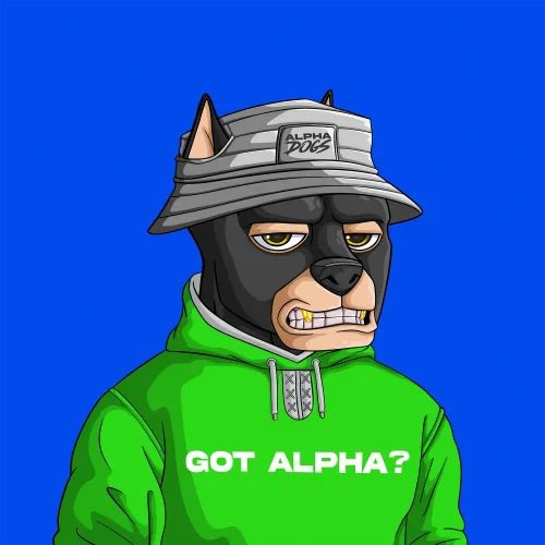jefferino27's tweet photo. @agent64209 @NoTap_NFT @ApeAlphaDogs @GMApechain Letโs go!!!๐ฅ๐ฅ๐ฅ๐พ๐พ๐พ #AlphaDogs #GotAlpha https://t.co/CuFdpSH8v0