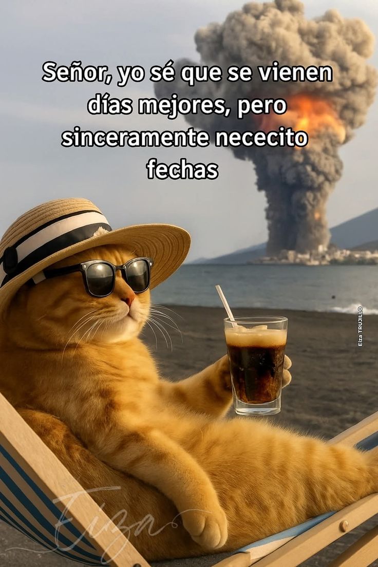 Humor de martes.🤨
Café y más café ☕🔆