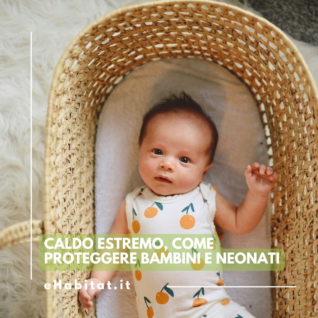 ☀️ #Caldo estremo e #bambini piccoli: come proteggerli davvero?💧👶

🔎 Leggi l’articolo 👉

ehabitat.it/2024/07/26/cal…
.
.
.
#CaldoEstremo #BambiniESalute #EstateSicura #GenitoriGreen #estate