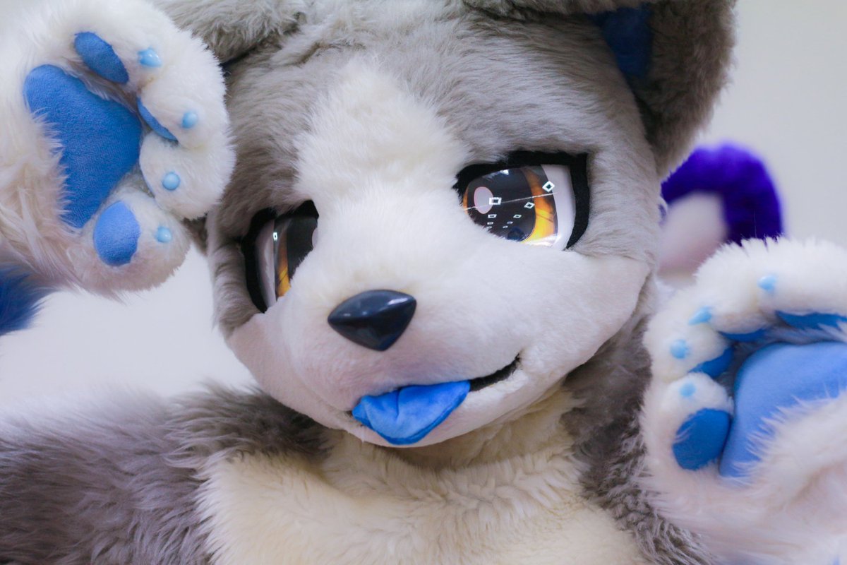 #いぬかのなにか