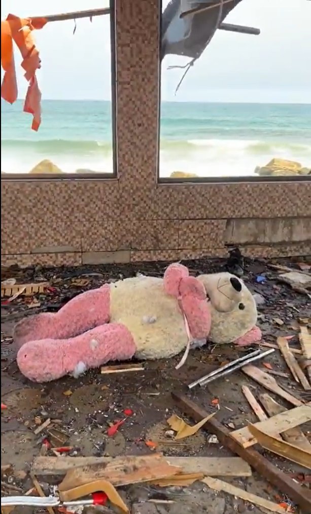 Petra Schurenhofer tweet media