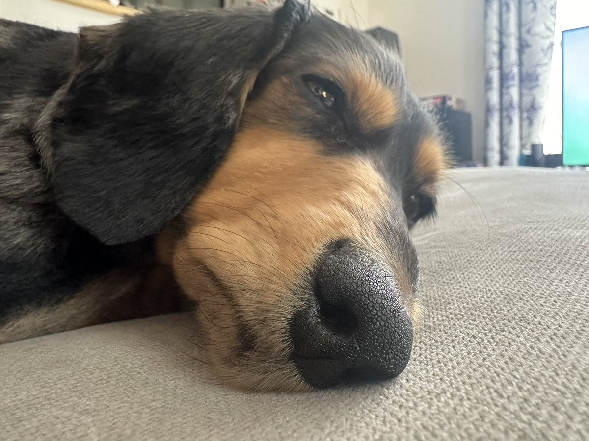 ←4ヶ月         4歳→