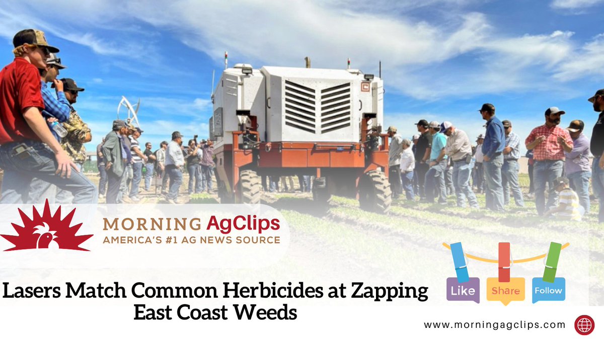 Shooting lasers at foes is the stuff of science fiction, but now, a few farmers are fighting one of their greatest nemeses with a new technology – laser weeders.

Read on: hubs.la/Q03vdkMC0

#farming #farmtech #breakingnews #farmers #newtechnology