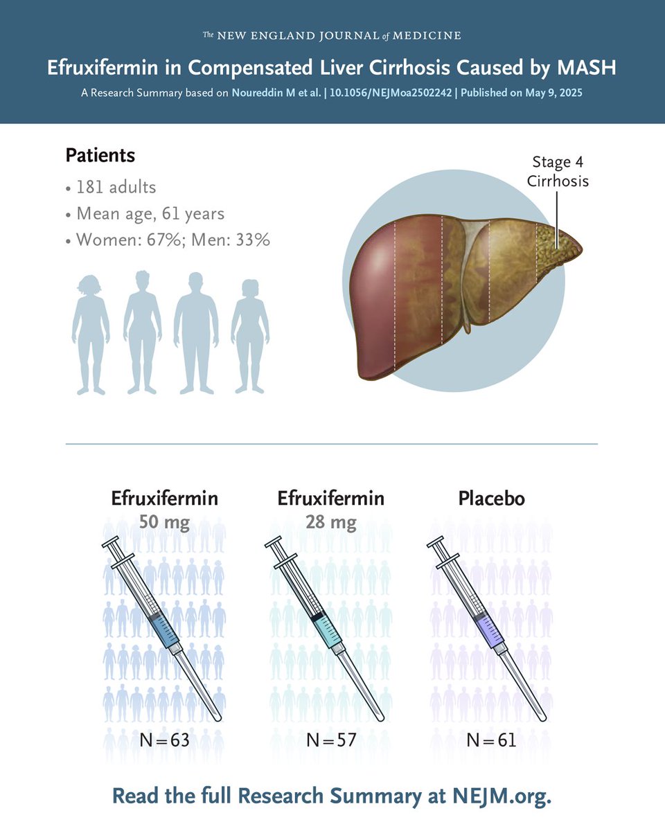In patients with compensated cirrhosis from metabolic dysfunction–associated steatohepatitis, efruxifermin did not significantly reduce fibrosis at 36 weeks. Full SYMMETRY trial results and Research Summary: nej.md/4kru98f