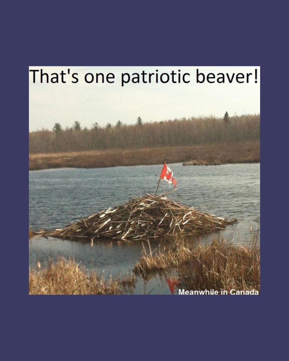DownsizingDiva's tweet photo. Happy Canada Day! All this dam needs now is some Gordon Lightfoot and a six-pack of maple syrup! 🇨🇦😉
#DownsizingDiva #CanadaDay #TMT #EastYork #NorthYork #DownsizingExperts #MovingExperts https://t.co/afZy40ZAXr
