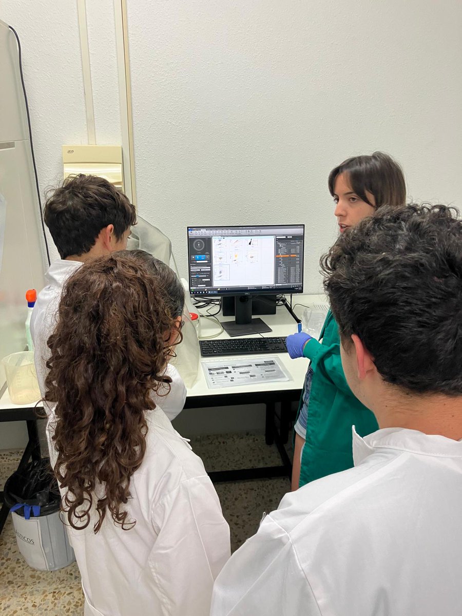 CSIC Castilla y León (@csiccyl) on Twitter photo 🥳 Felicidades a los 7⃣ estudiantes de León y Villablino que han completado el programa 'Científic@s en prácticas': una semana en labs del <a href="/Igm_Leon/">Instituto de Ganadería de Montaña (CSIC-ULE)</a> e <a href="/IncipitCSIC/">INCIPIT-CSIC</a> trabajando como verdaderos investigadores 👩🔬 👏 ¡Desde #CSICCyL estamos muy orgullosos!
🔗delegacion.castillayleon.csic.es/el-csic-de-cas… 🥳 Felicidades a los 7⃣ estudiantes de León y Villablino que han completado el programa 'Científic@s en prácticas': una semana en labs del <a href="/Igm_Leon/">Instituto de Ganadería de Montaña (CSIC-ULE)</a> e <a href="/IncipitCSIC/">INCIPIT-CSIC</a> trabajando como verdaderos investigadores 👩🔬 👏 ¡Desde #CSICCyL estamos muy orgullosos!
🔗delegacion.castillayleon.csic.es/el-csic-de-cas…
