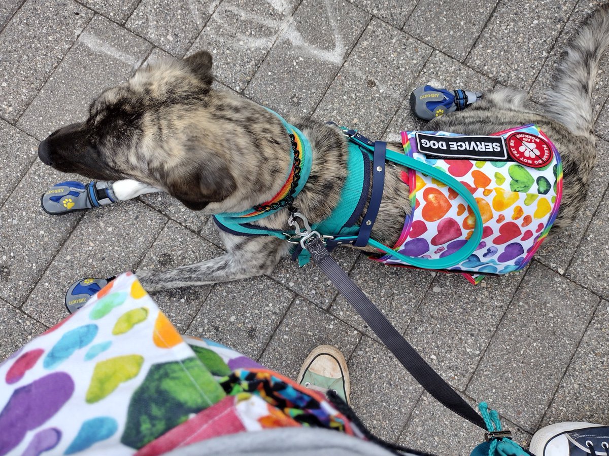 IronpointEq's tweet photo. July is Disability Pride month!

Being disabled is different for everyone, for me, it looks like working-from-home and having a service dog. 

QT this with your favorite Disabled Small Business Owners, or tag them down below! https://t.co/qUafTCax1L