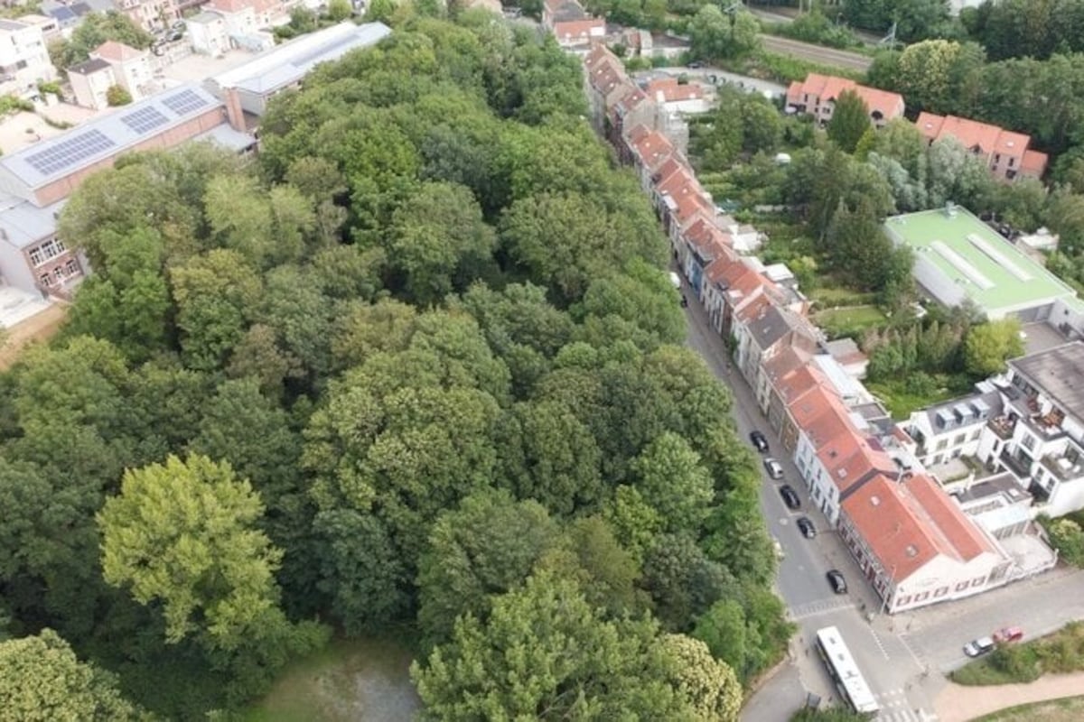 Logements sociaux au bois de Calevoet : le permis d’urbanisme accordé, Uccle et des riverains déposeront des recours dhnet.be/regions/bruxel…
