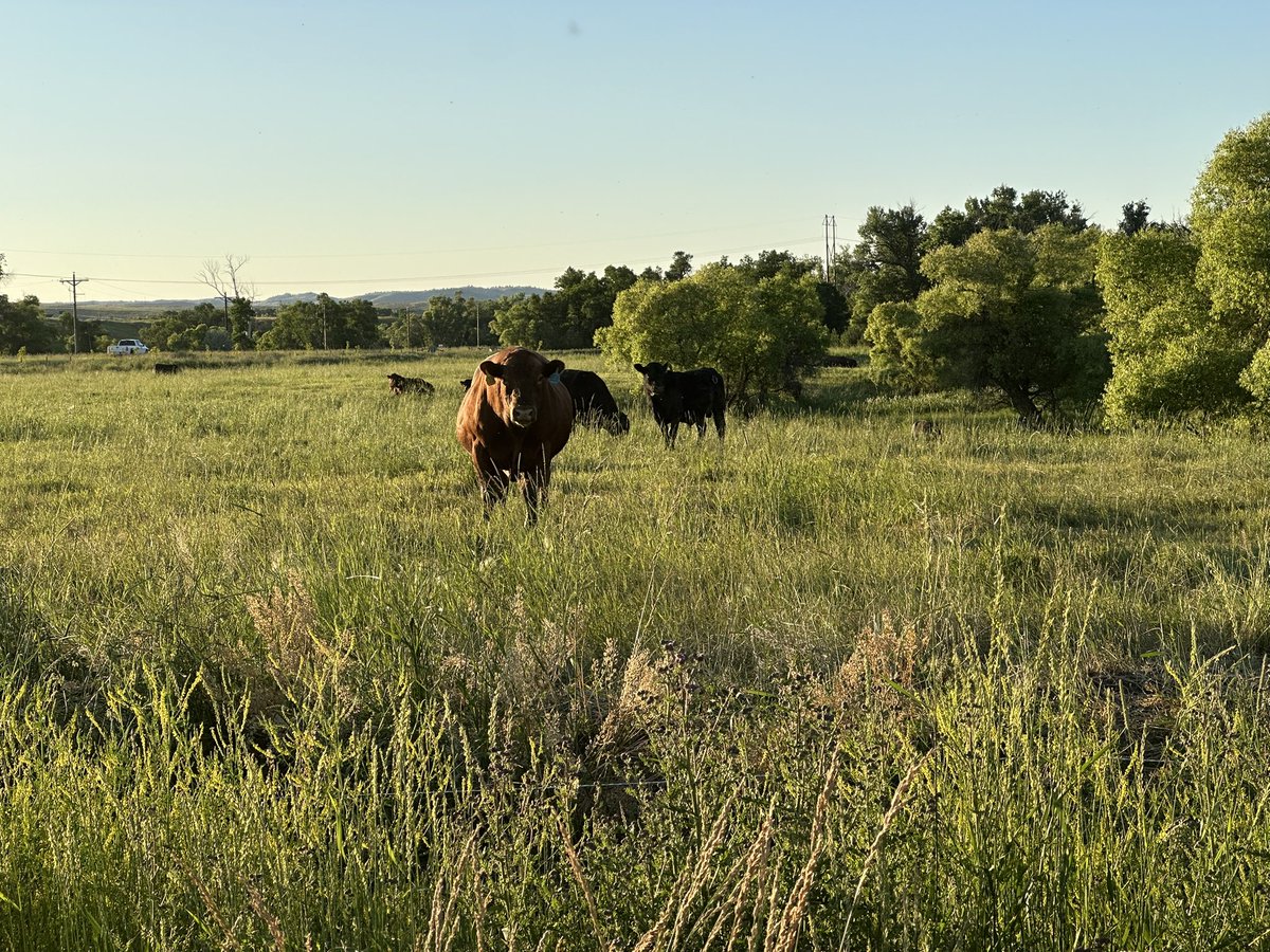 How it started / how it’s going