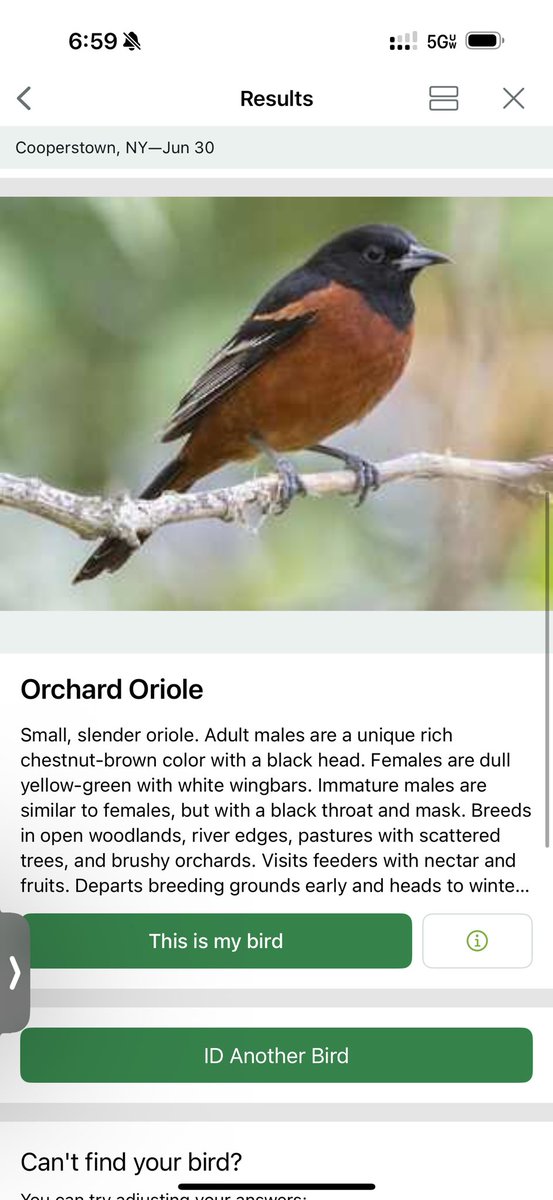 Saw an actual cardinal and oriole yesterday in Cooperstown. Don’t tell my wife…she thinks I’m becoming a bird watcher as I close in on 50 😂